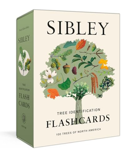 Sibley Tree Identification Flashcards: 100 Trees of North America By David Allen Sibley - Other