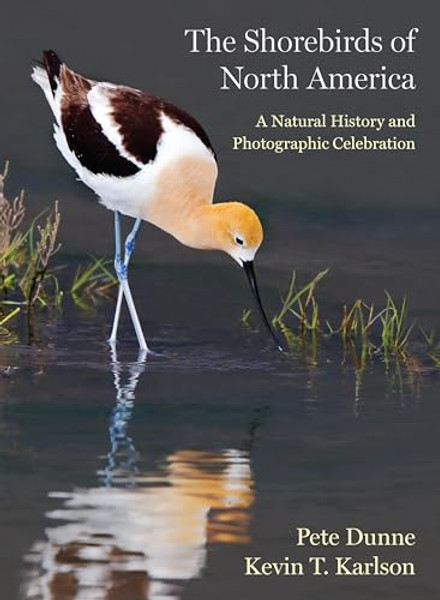 The Shorebirds of North America: A Natural History and Photographic Celebration By Pete Dunne - Hardcover