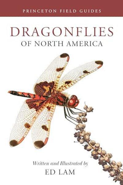 Dragonflies of North America By Ed Lam - Paperback Dragonflies of North America By Ed Lam - Paperback