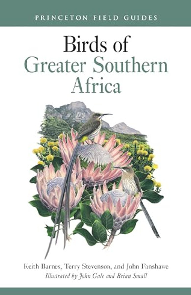 Birds of Greater Southern Africa By Keith Barnes - Paperback