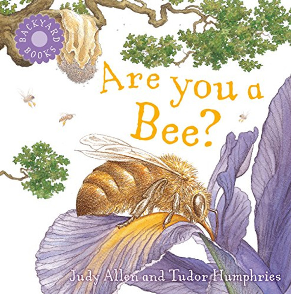 Are You a Bee? By Judy Allen - Paperback