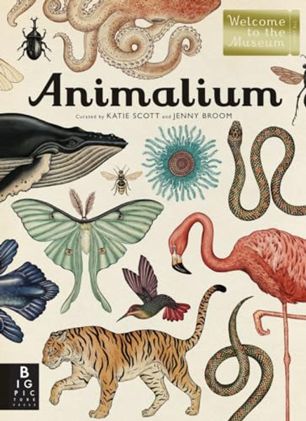 Animalium: Welcome to the Museum By Jenny Broom - Hardcover