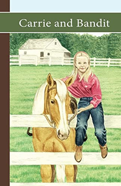 Sonrise Stable: Carrie and Bandit By Vicki Watson - Paperback