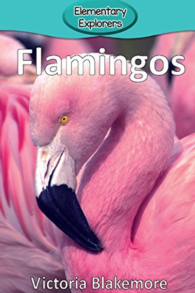 Flamingos By Victoria Blakemore - Paperback