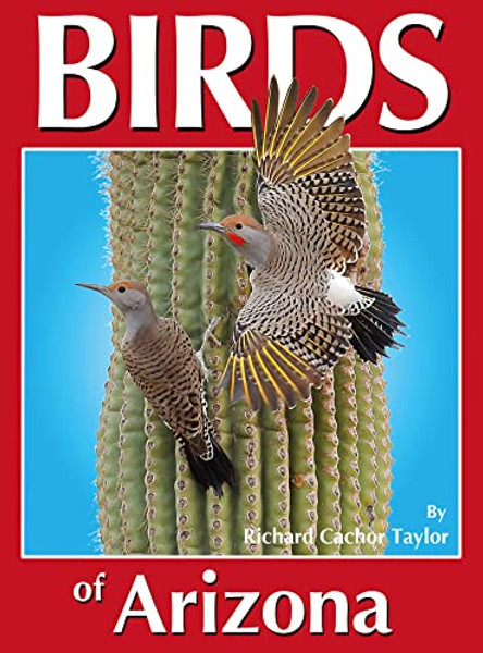 Birds of Arizona By Richard C. Taylor - Paperback