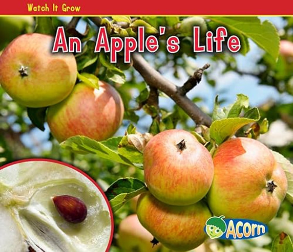An Apple's Life By Nancy Dickmann - Paperback