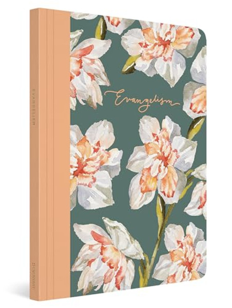 ESV Prayer Journal: 30 Days on Evangelism (Paperback) By Erika Allen - Paperback