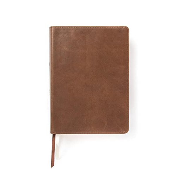 CSB She Reads Truth Bible, Brown Genuine Leather, Indexed: Notetaking Space, Devotionals, Reading Plans, Easy-To-Read Font By Raechel Myers - Leather