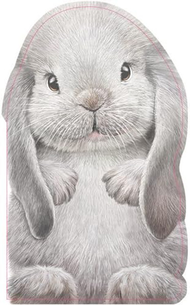 Furry Bunny By Annie Auerbach - Board Books