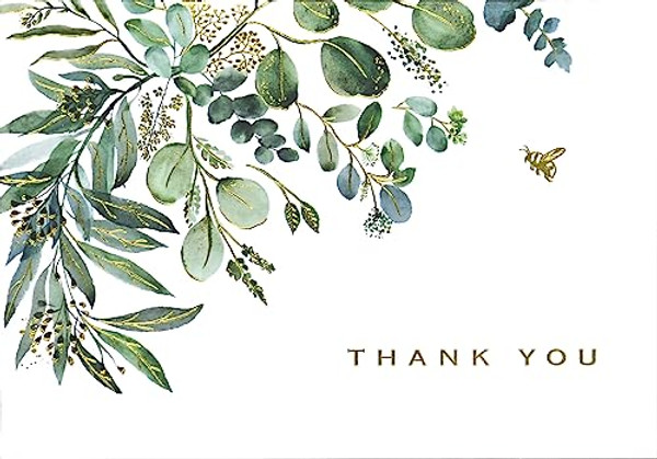 Eucalyptus Thank You Note Cards (14 Cards, 15 Self-Sealing Envelopes) By Peter Pauper Press - Novelty