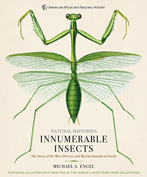 Innumerable Insects: The Story of the Most Diverse and Myriad Animals on Earth By Michael S. Engel - Hardcover