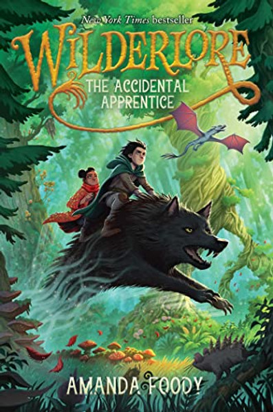 The Accidental Apprentice By Amanda Foody - Hardcover The Accidental Apprentice By Amanda Foody - Hardcover