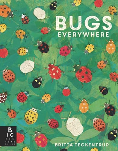 Bugs Everywhere By Lily Murray - Paperback