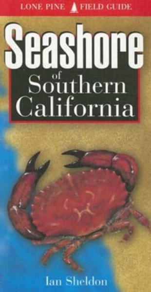 Seashore of Southern California By Ian Sheldon - Paperback