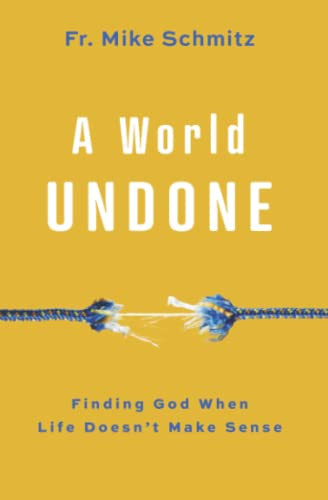 A World Undone: Finding God When Life Doesn't Make Sense By Fr Mike Schmitz - Paperback