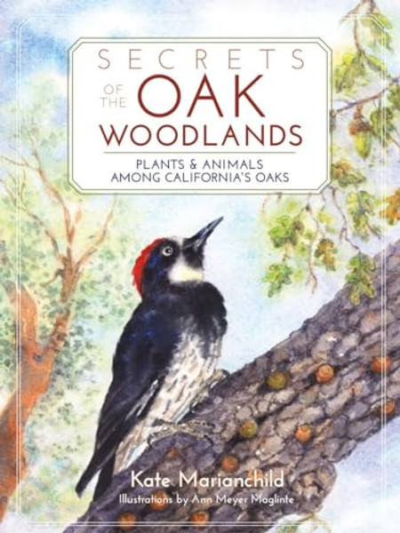 Secrets of the Oak Woodlands: Plants and Animals Among California's Oaks By Kate Marianchild - Paperback