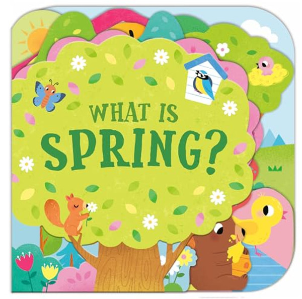 What Is Spring? By Sonali Fry - Board Books