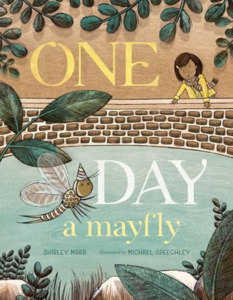 One Day a Mayfly By Shirley Marr - Hardcover