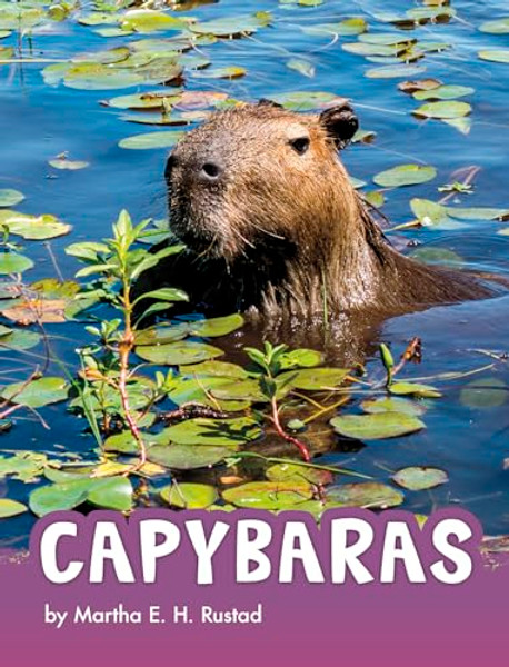 Capybaras By Martha E. H. Rustad - Paperback