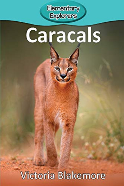 Caracals By Victoria Blakemore - Paperback