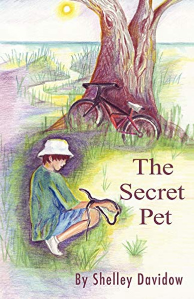 The Secret Pet By Shelley Davidow - Paperback