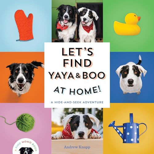 Let's Find Yaya and Boo at Home!: A Hide-And-Seek Adventure By Andrew Knapp - Board Books
