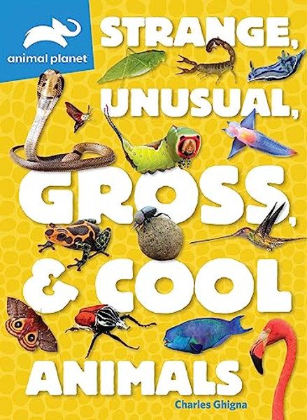 Animal Planet: Strange, Unusual, Gross, & Cool Animals By Charles Ghigna - Paperback