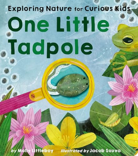 One Little Tadpole: Exploring Nature for Curious Kids By Molly Littleboy - Board Books