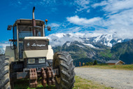 Lamborghini Put the Tractor Before the Bull