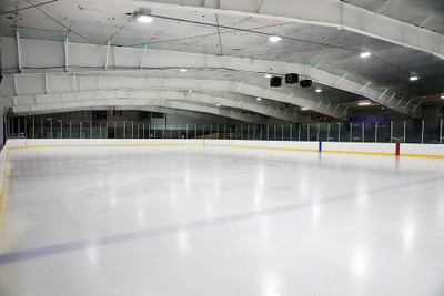 Zamboni's Quest for Great Ice