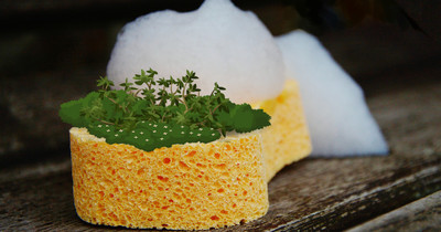 What Exactly Are Sponge Parks?