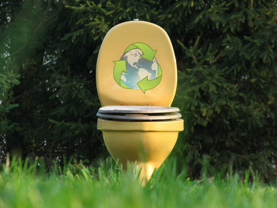 Someday Your Toilet Might Be a Viable Source of Alternative Energy