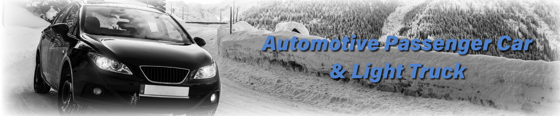 Auto & Light Truck| Winter Products