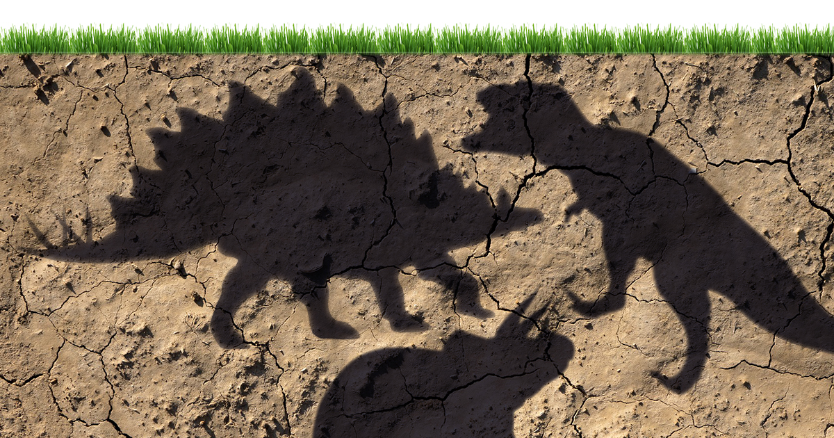 True or False Oil Comes from Dinosaurs Petroleum Service Company