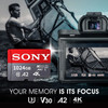 SONY Micro TF SD Card 128GB SD Memory Card 256GB 512GB A2 U3 V30 Memory Cards 170MB/S High Speed 4K For Steam Deck/Drone/Camera