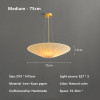 Japanese Style Pendant Light Xuan Paper Creative Homestay Living Room Bedroom Light Chinese Restaurant Tea Room Pendant Light