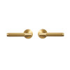 Dooroom Brass Door Lever Set Interior Bedroom Bathroom Dummy lock Set Privacy Passage Locks Tubular Latch linear Thumb Turn