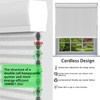 Double Cell Honeycomb Blind Top Down Bottom Up Codless Cellualr Shades for Windows Custom Size Thermal Insulated Noise Reduction