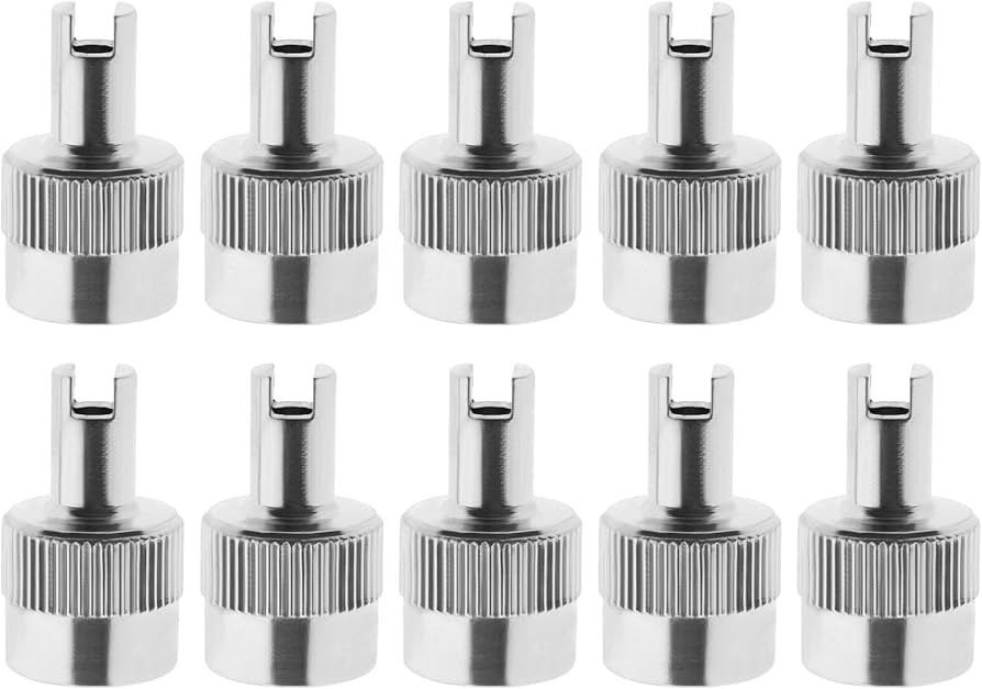 BAG OF 10 - Metal Valve Cap with Valve Key