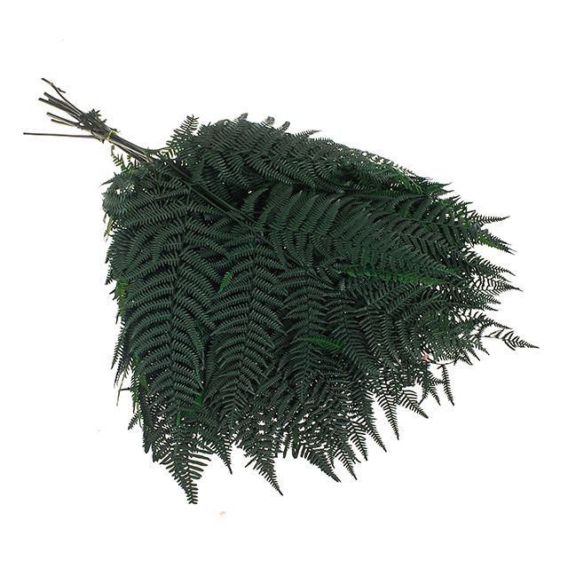 Bracken Fern green 10 Bunch Country Baskets