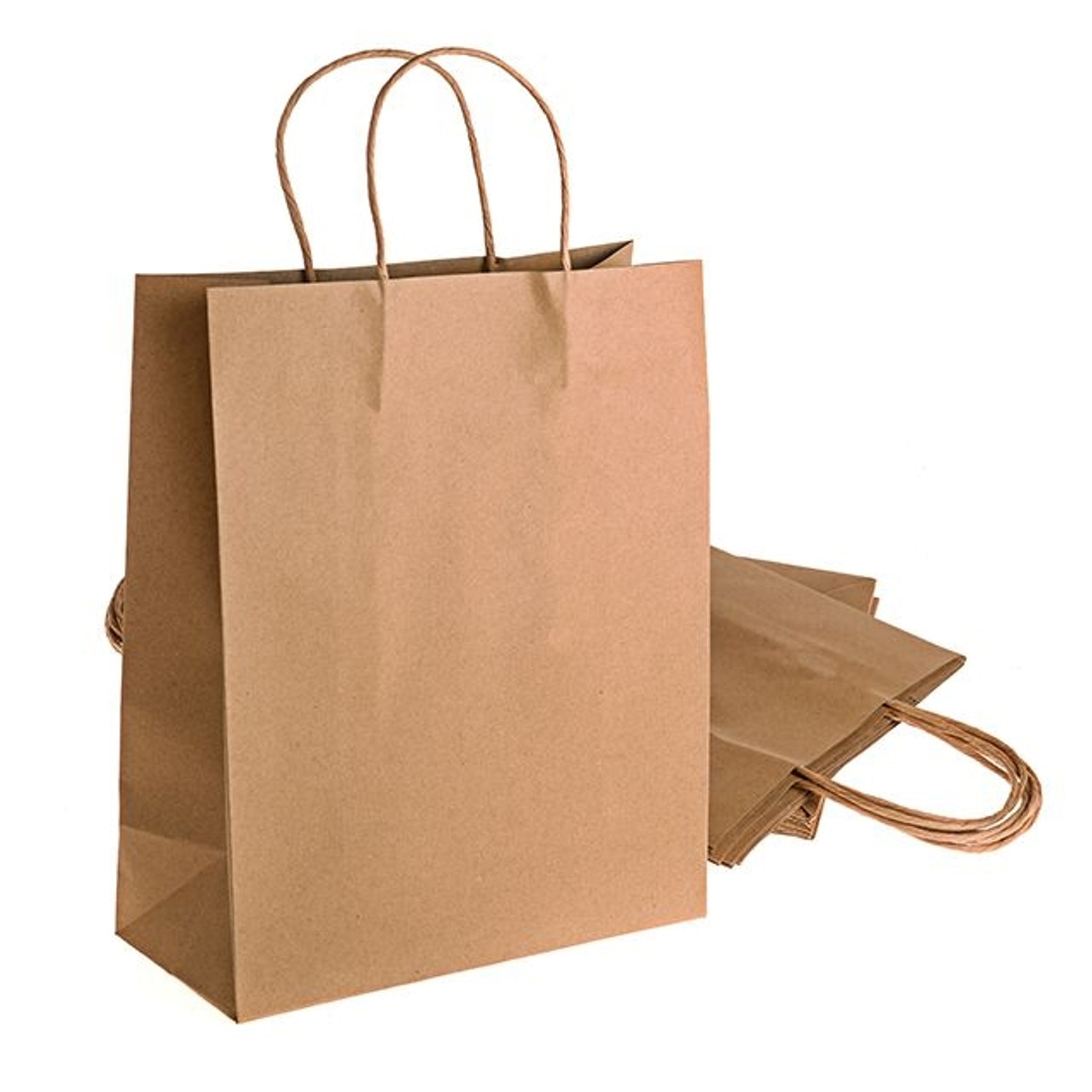 Craft Kraft Paper Bags Large Pack Of 10 - Country Baskets