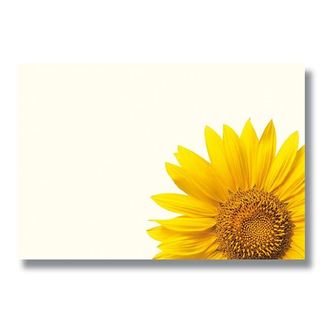 Oasis Small Card Blank Yellow Sunflower - Country Baskets