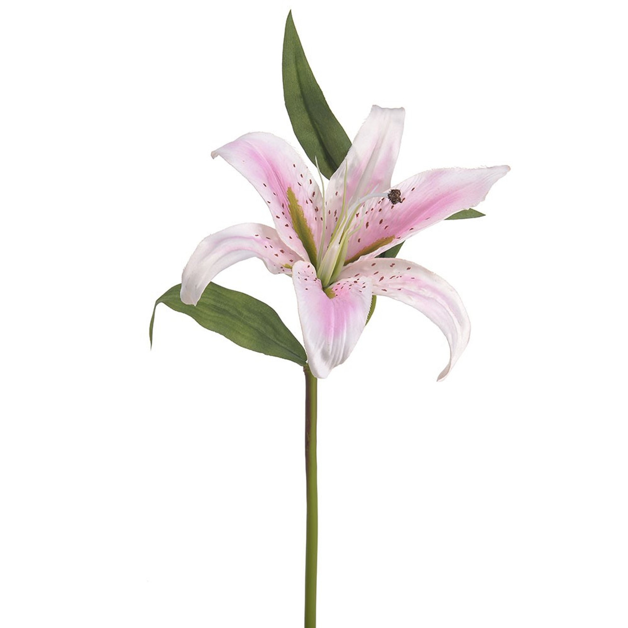 Casablanca Lily Pink 15 - Country Baskets