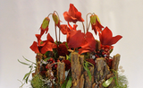 Bark Christmas Arrangement