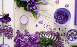 Celebrate the New Year with Ultra Violet!