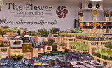 Celebrating The Flower Connection - British Flowers Week