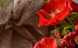 Crafty Creative: Make a Poppy Wreath