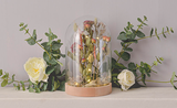 Dried Flowers Dome- 'How To'