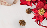 Festive Wrapping for a Hand Tied Bouquet!