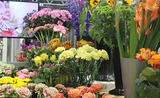 Floristry at the World Skills Show!